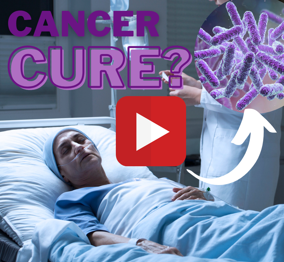 Bacteria could cure cancer